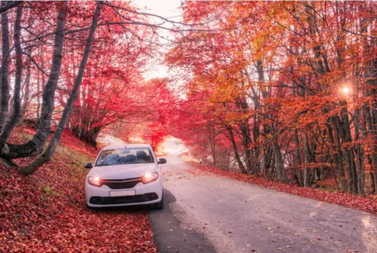 Alquiler de autos en bariloche